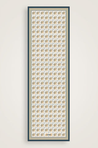 Esma Koleksiyonu [V] Gündüz Pamuk İpek Şal 70x200